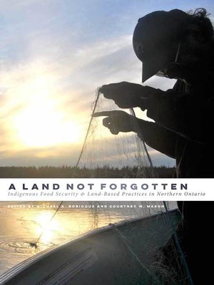 cover image of A Land Not Forgotten